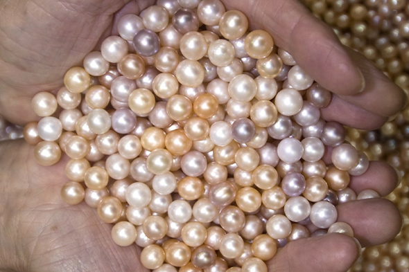 تشخیص مروارید اصل