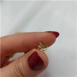 Gold-nose-piercing