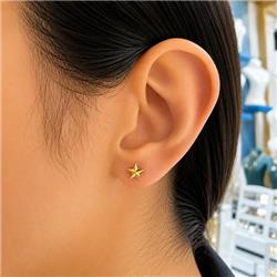 Star-cut-gold-piercing