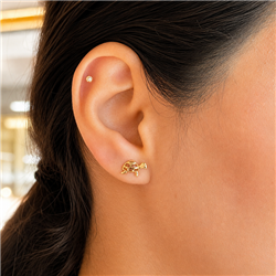 product-turtle-helix-gold-piercing