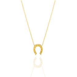 Horseshoe-necklace