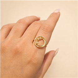 Circular-ring