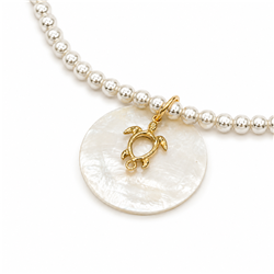 Gold-tortoise-anklet22