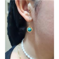 Turquoise-stick-earrings