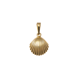 Gold-seashell-pendant