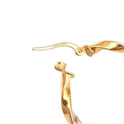 Screw-earrings