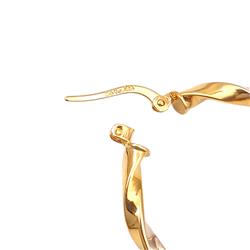Screw-earrings