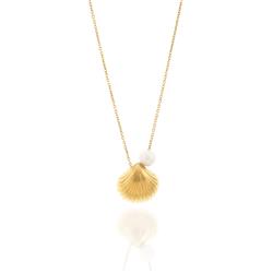 Shell-pearl-necklace