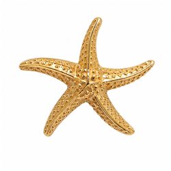 Starfish pendant-10
