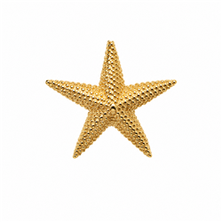 Starfish pendant-6