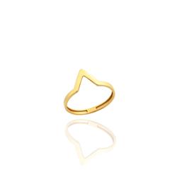 V-ring0