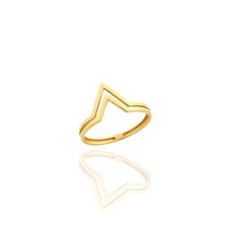 V-ring0